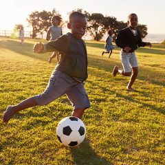 Artboard 1 Artboard 1